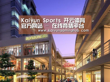 案例展示一(图1)