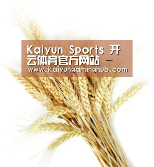 Kaiyun Sports 开云体育官方网站 - 在线竞猜平台
