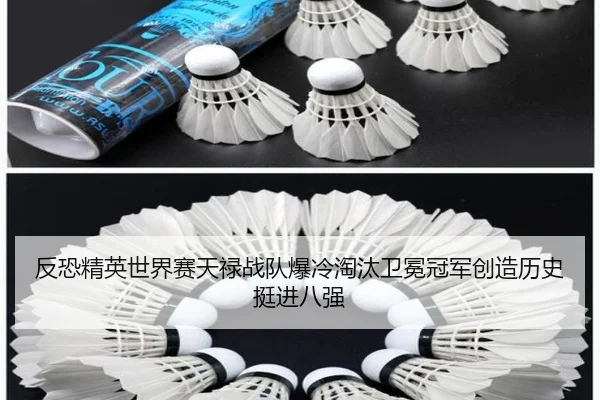 反恐精英世界赛天禄战队爆冷淘汰卫冕冠军创造历史挺进八强