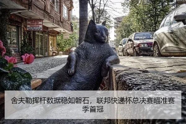 舍夫勒挥杆数据稳如磐石，联邦快递杯总决赛瞄准赛季首冠