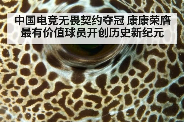 中国电竞无畏契约夺冠 康康荣膺最有价值球员开创历史新纪元